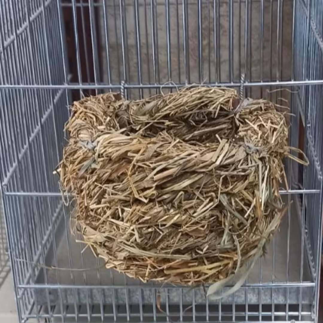 لانه حصیری کد 1 