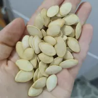 تخمه کدو گوشتی لوکس خارجی (200گرمی)