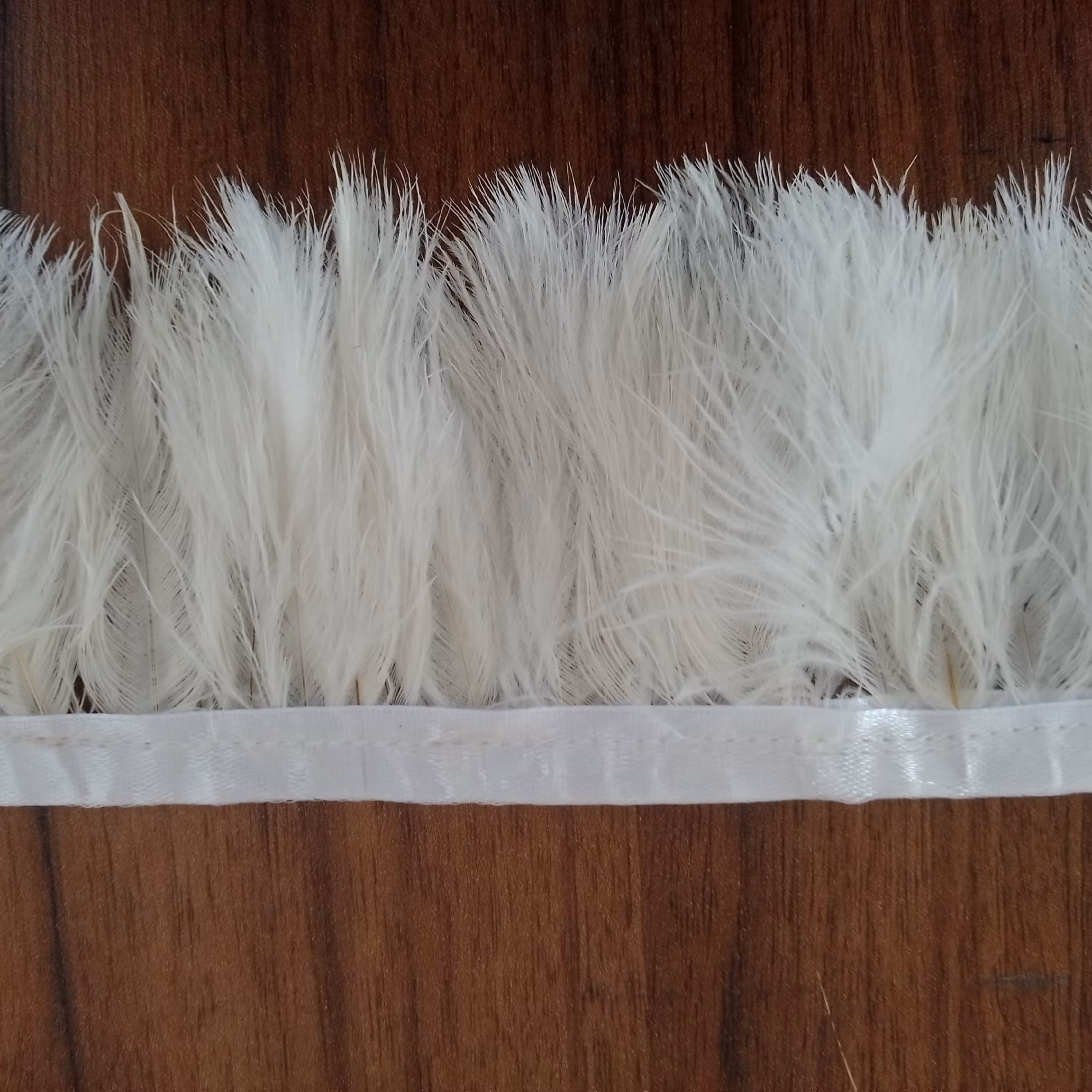 نوار سر گرد سفید