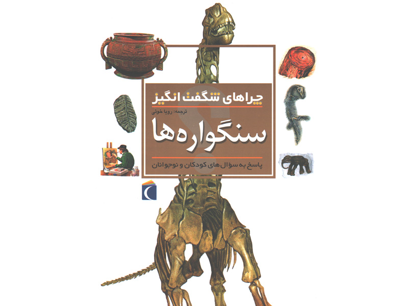 کتاب چراهای شگفت انگیز سنگواره ها اثر کریس پلان