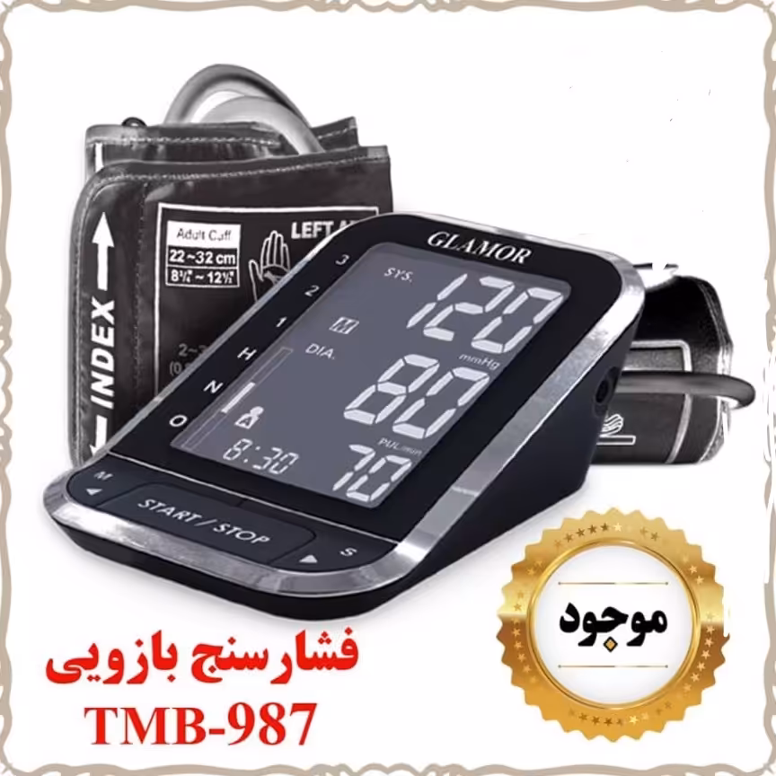 فشار سنج گلامور مدل tmb987 
