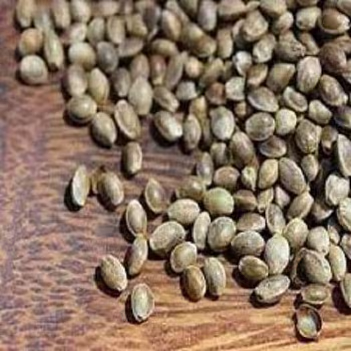 تخم کنف(شاهدانه) 100 گرمی