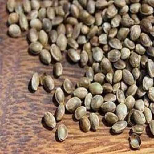 تخم کنف(شاهدانه) 100 گرمی