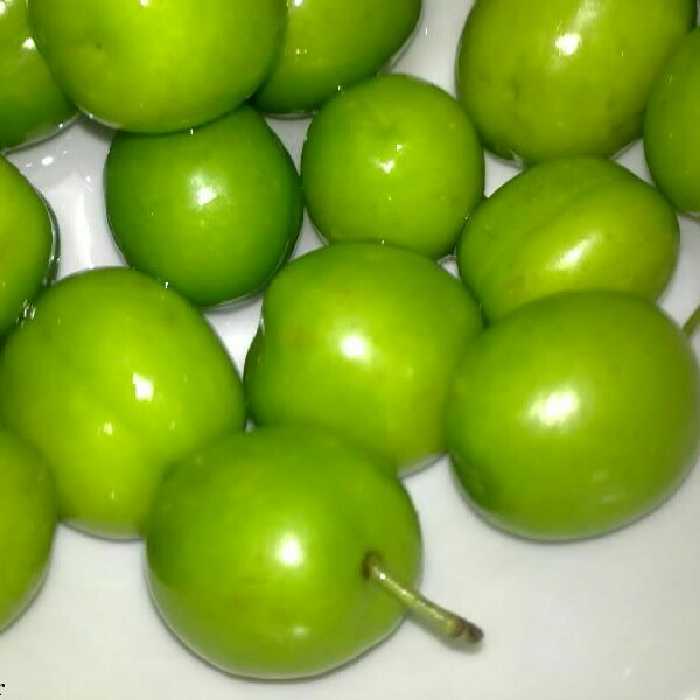 شور گوجه سبز خانگی (به نیک ) تهیه شده از گوجه سبز تازه وآبدار کاملا شسته و بهداشتی شده  یکی از شورهای خوشمزه  