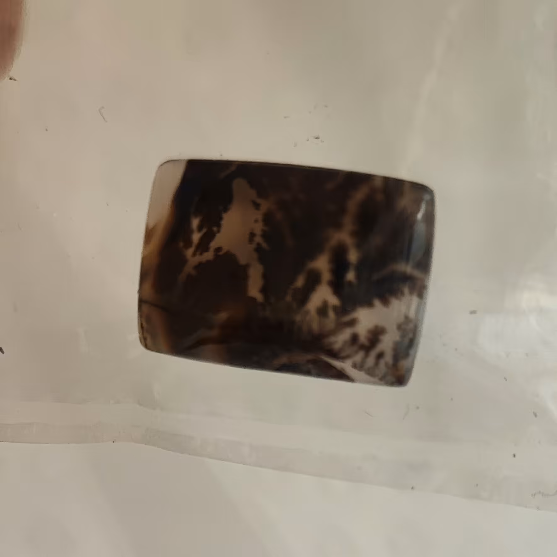 شجر قائن منظره زیبا  اندازه 20 در14میل