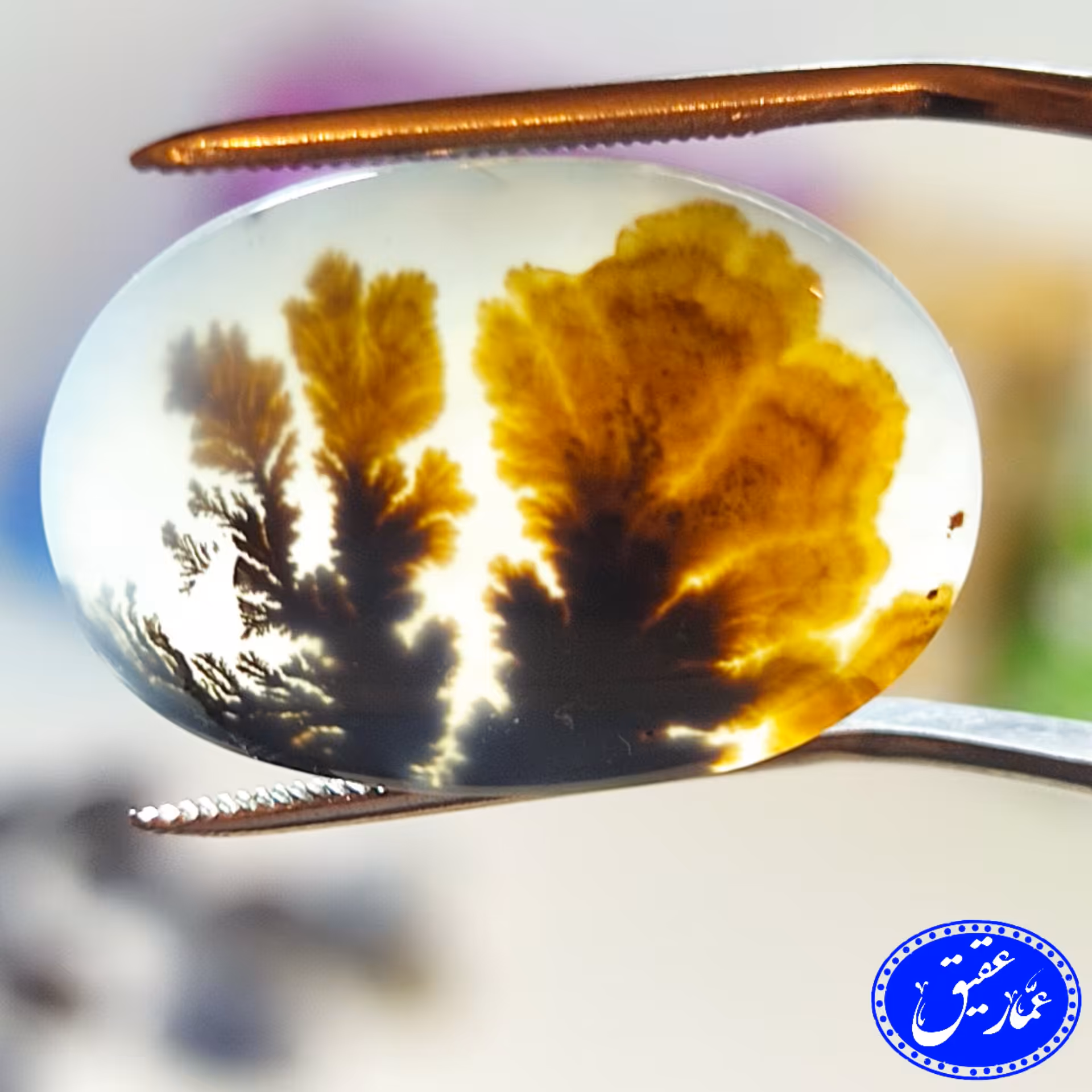 نگین عقیق شجر گل نارنجی قیمت مناسب