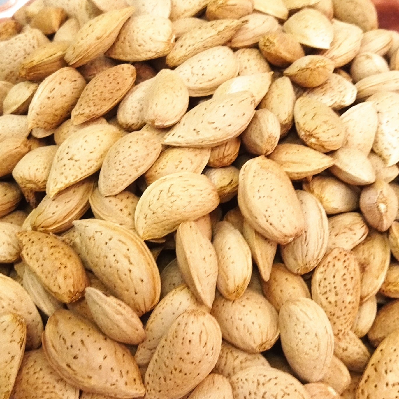 بادام سنگی 1 کیلویی ایرانی