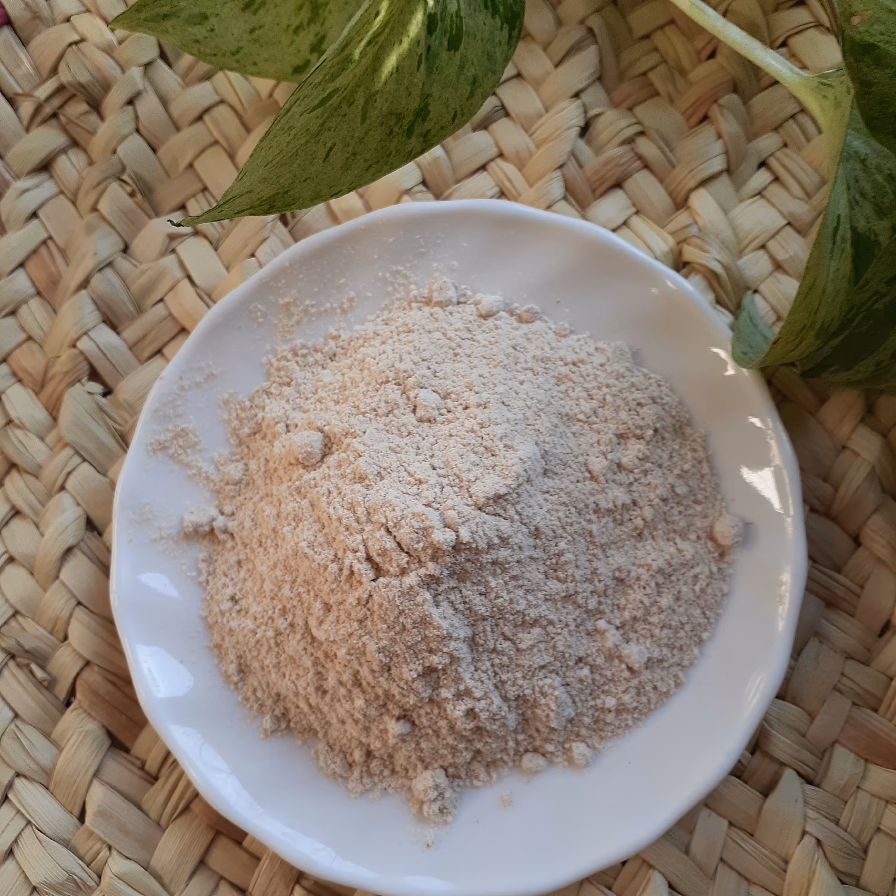 پودر سیر 100درصد خالص