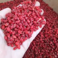 زرشک پفکی (500گرمی)