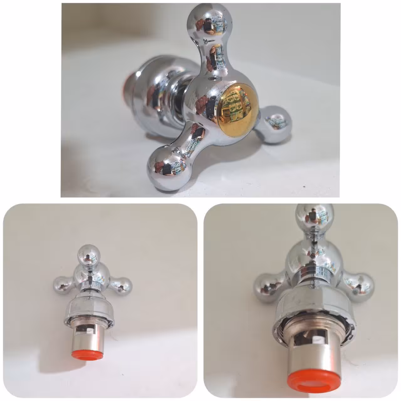 مغزی شیر برداشت بزرگ