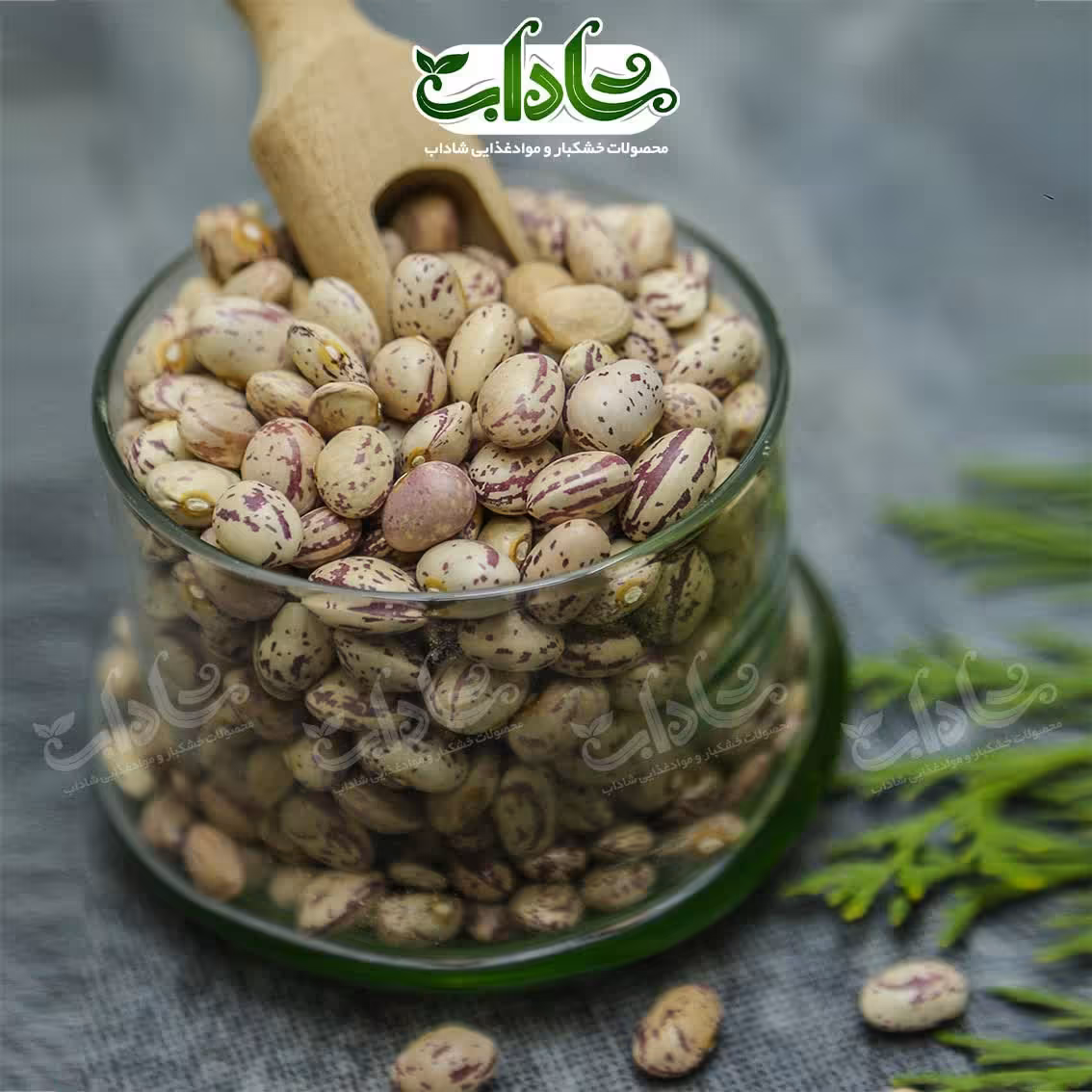 لوبیا چیتی 500g بسته بندی پاکتی