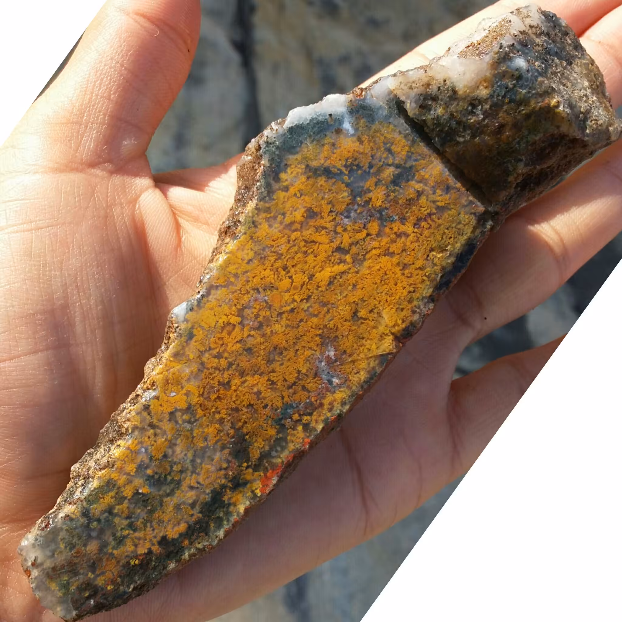 اسلایس سنگ راف عقیق شجر منظره پاییزی بسیار دیدنی شاهکار خلقت کاملا طبیعی
با قابلیت ساخت چند نگین قیمتی و محشر
 کد 8128