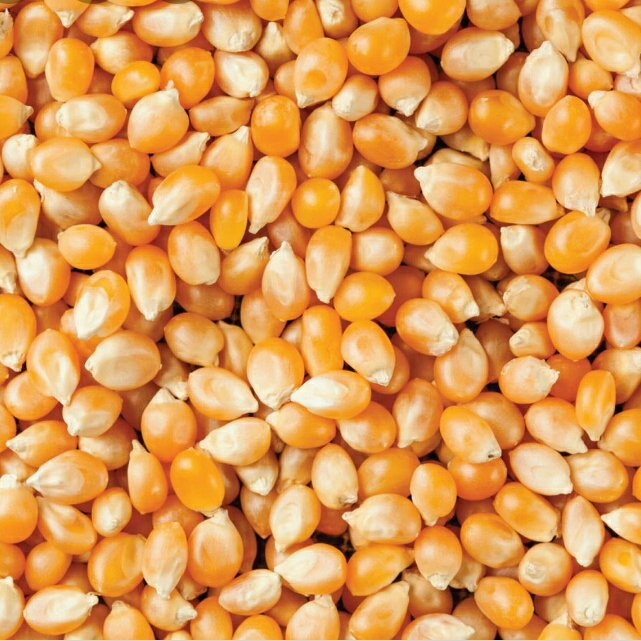 ذرت پاپ کرن اعلا