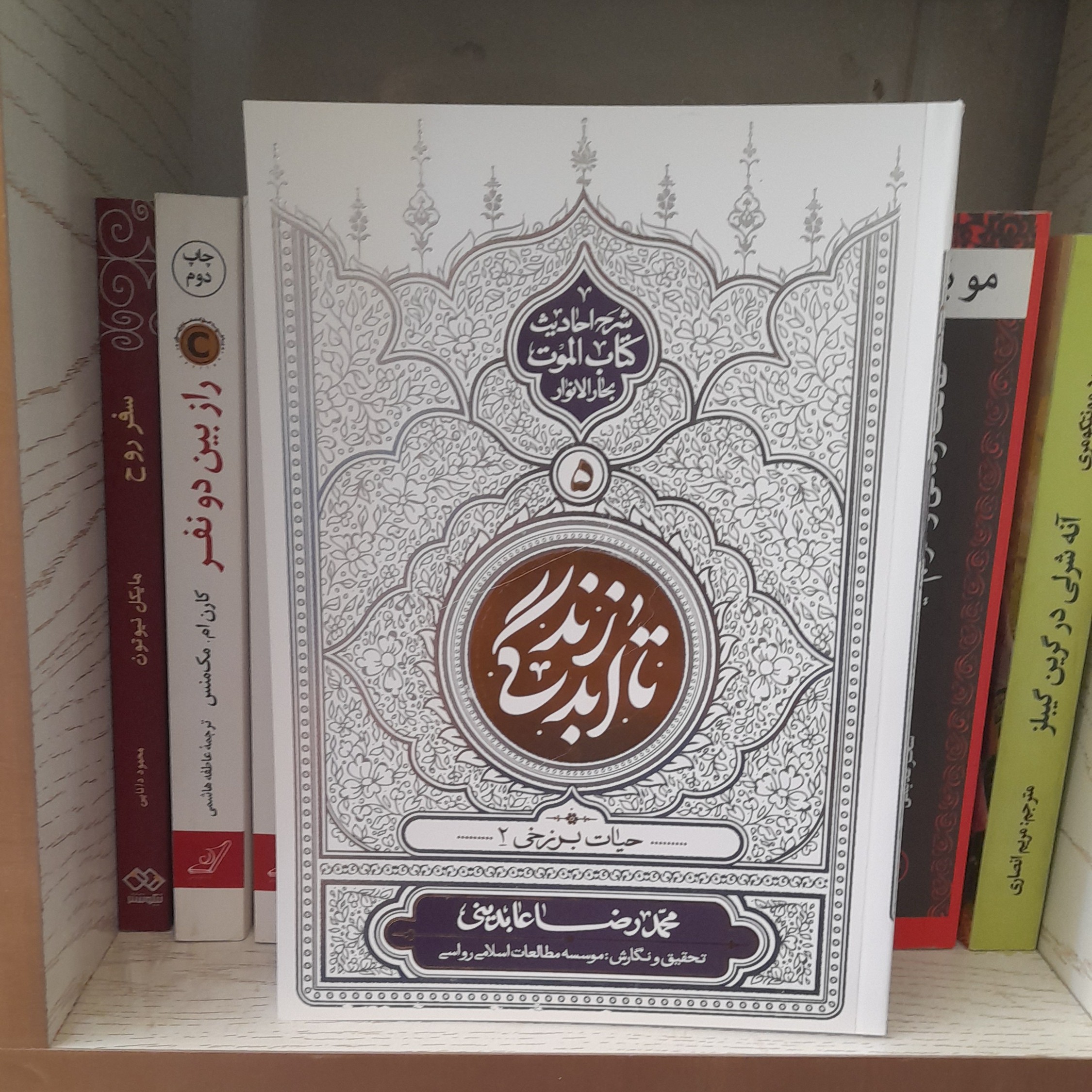 کتاب تاابدزندگی ج5حیات برزخی2به قلم محمد رضا عابدینی تحقیق موسسه مطالعات اسلامی رواسی