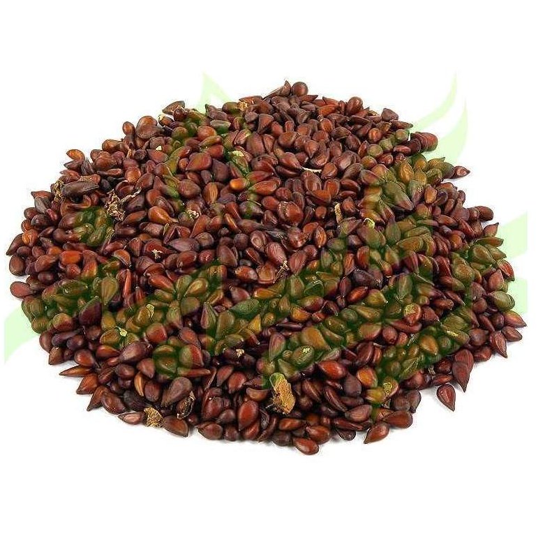 دانه به (سبک زندگی و طب اسلامی شیعی)