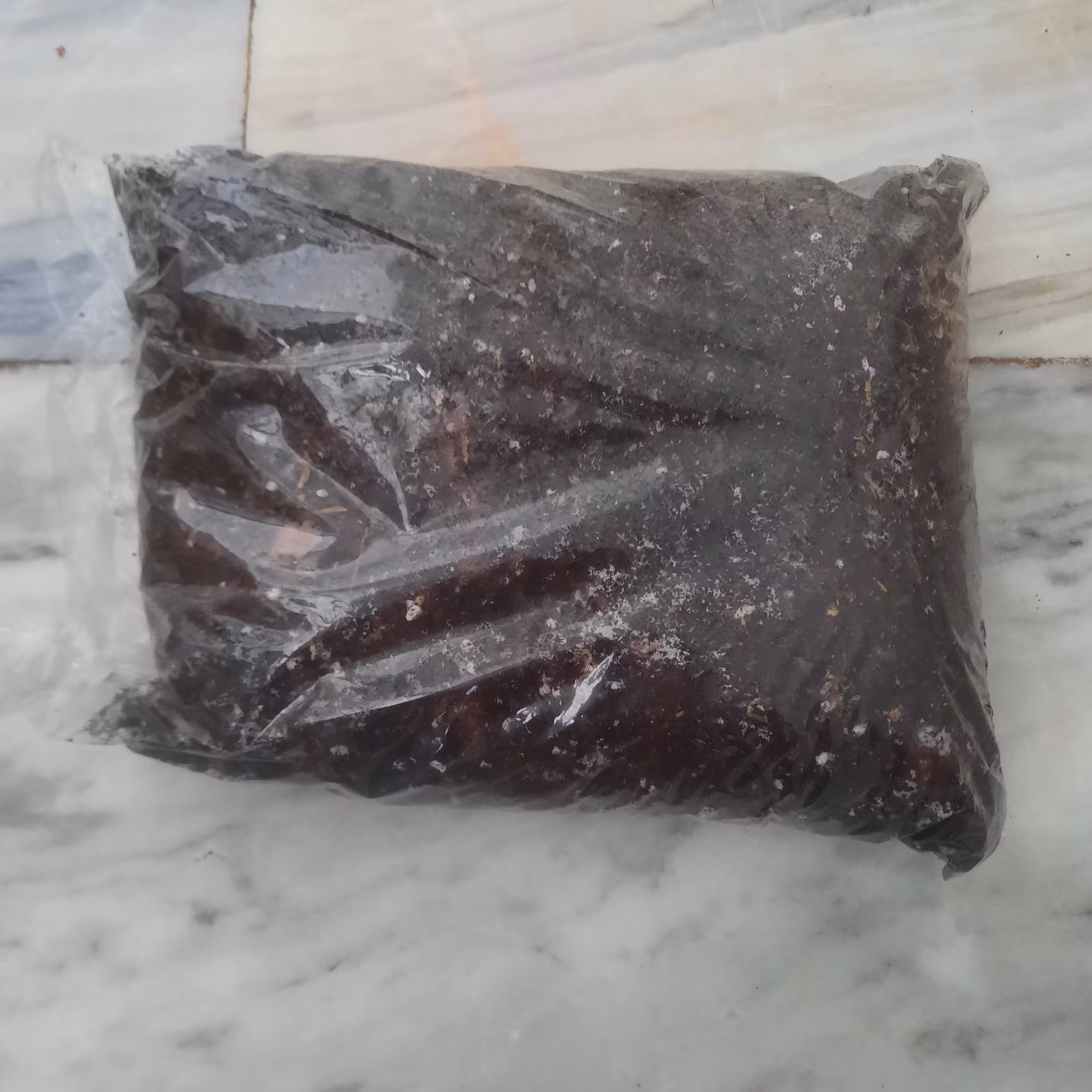 خاک آپارتمانی 