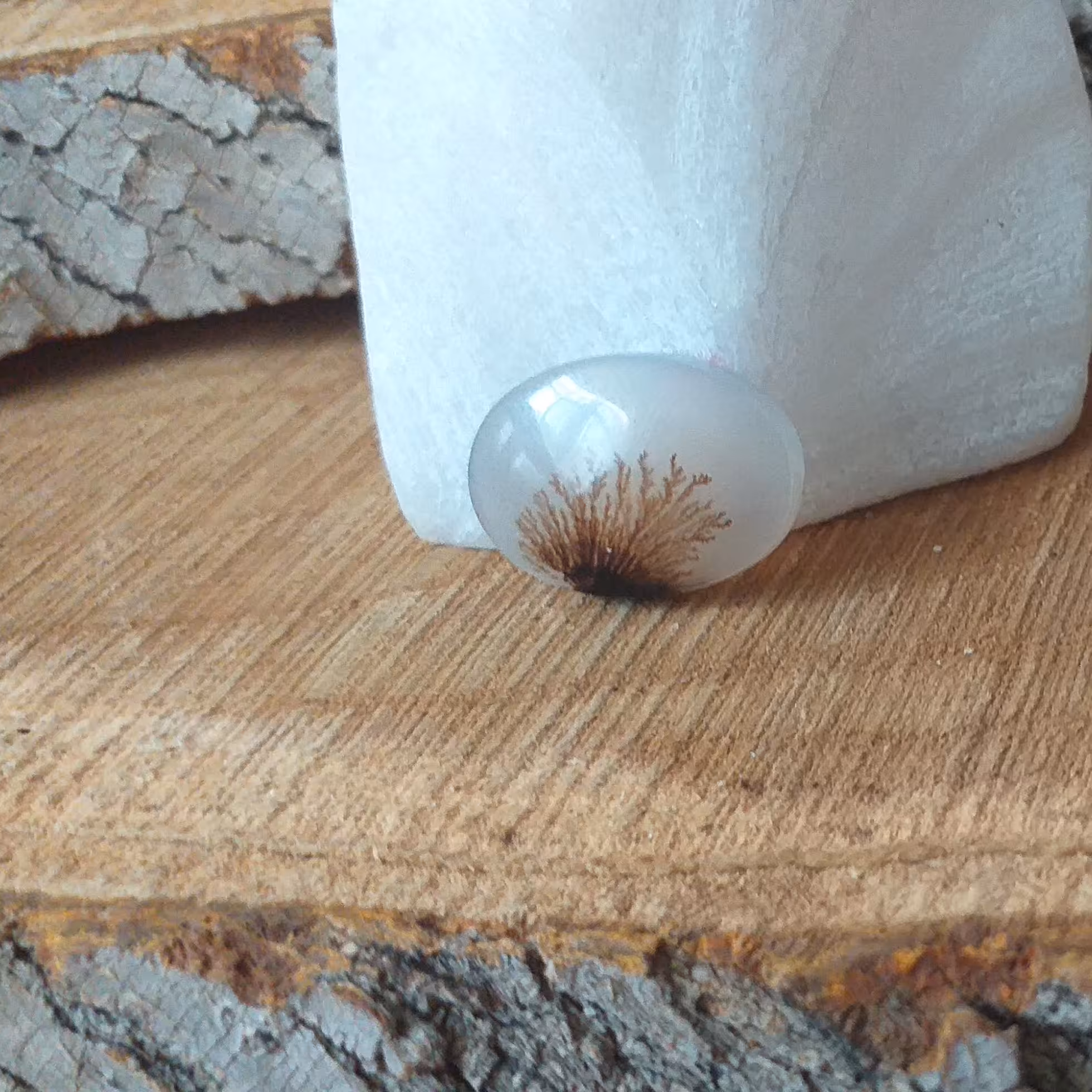 نگین عقیق شجر کلکسیونی خاص