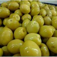 زیتون کنسروی 