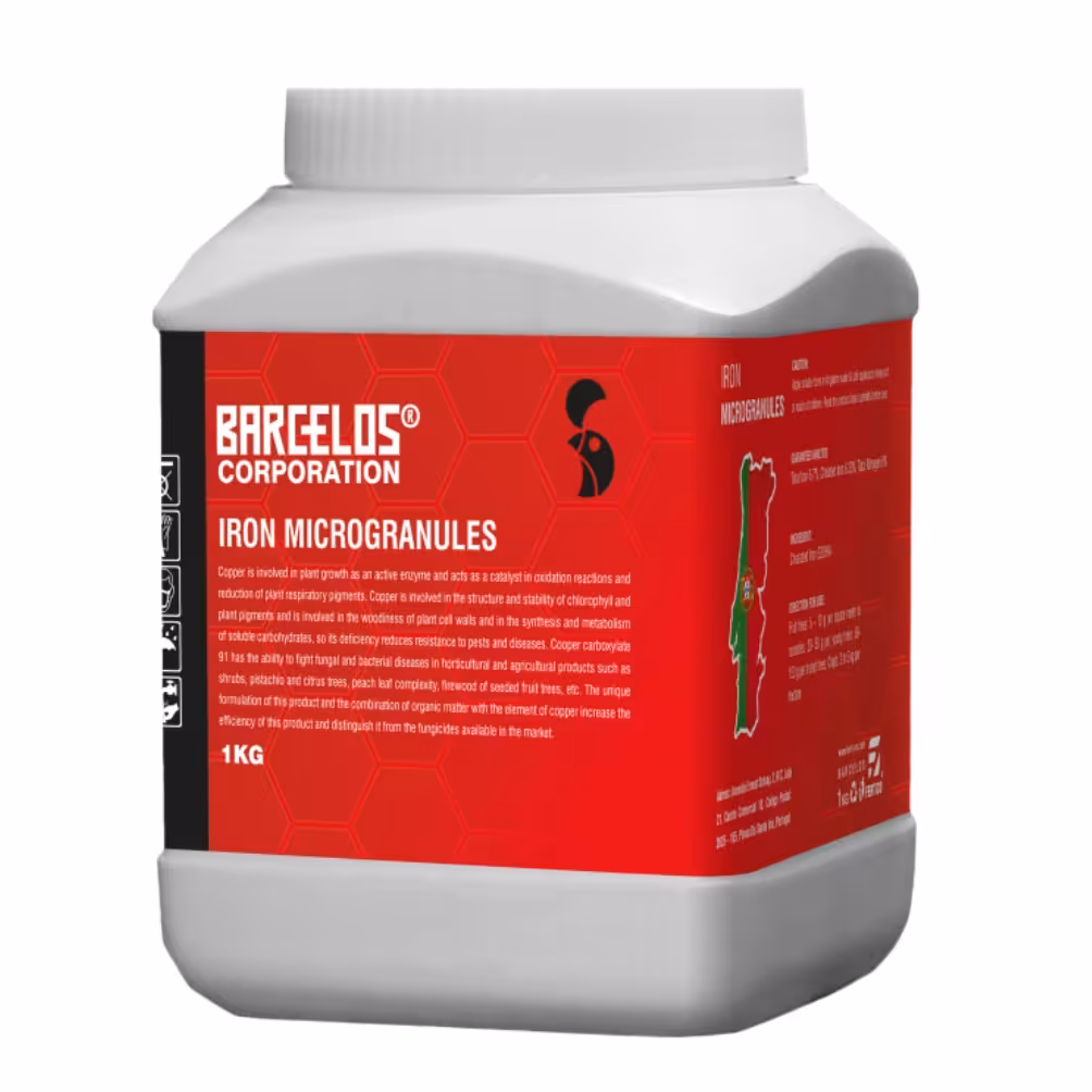 کلات آهن بارسلوس