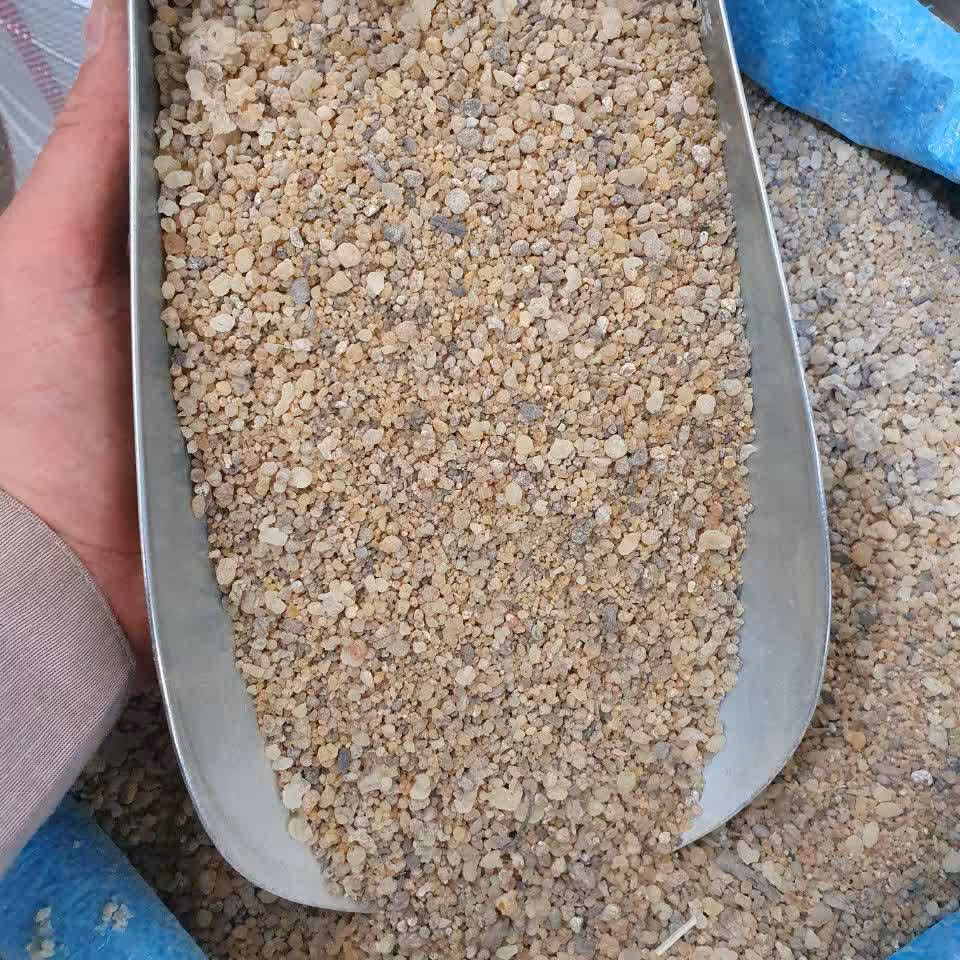 مصطکی اصل یونان 100 گرم 