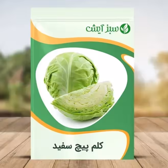 بذر کلم پیچ سفید