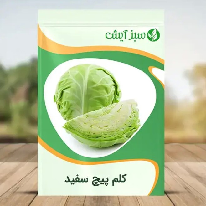 بذر کلم پیچ سفید