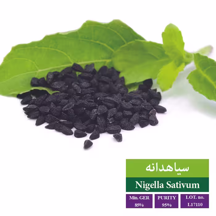 بذر سیاهدانه - بذر طلایی رویان