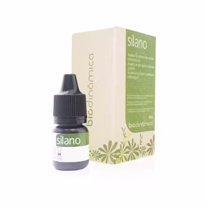 پرایمر سرامیک Biodinamica Silano