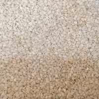 کنجد سفید خارجی (کیفیت عااالی) وزن 500 گرم (پس کرایه)