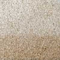 کنجد سفید خارجی (کیفیت عااالی) وزن 500 گرم (پس کرایه)