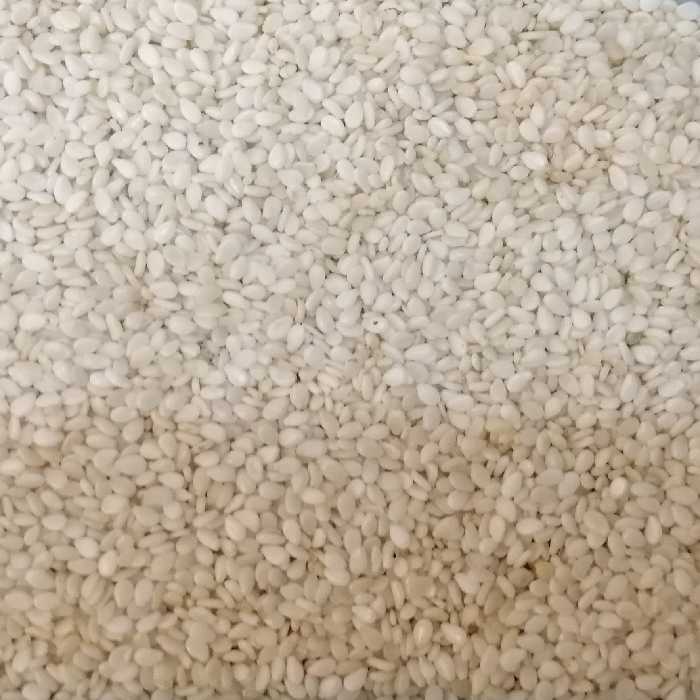 کنجد سفید خارجی (کیفیت عااالی) وزن 500 گرم (پس کرایه)