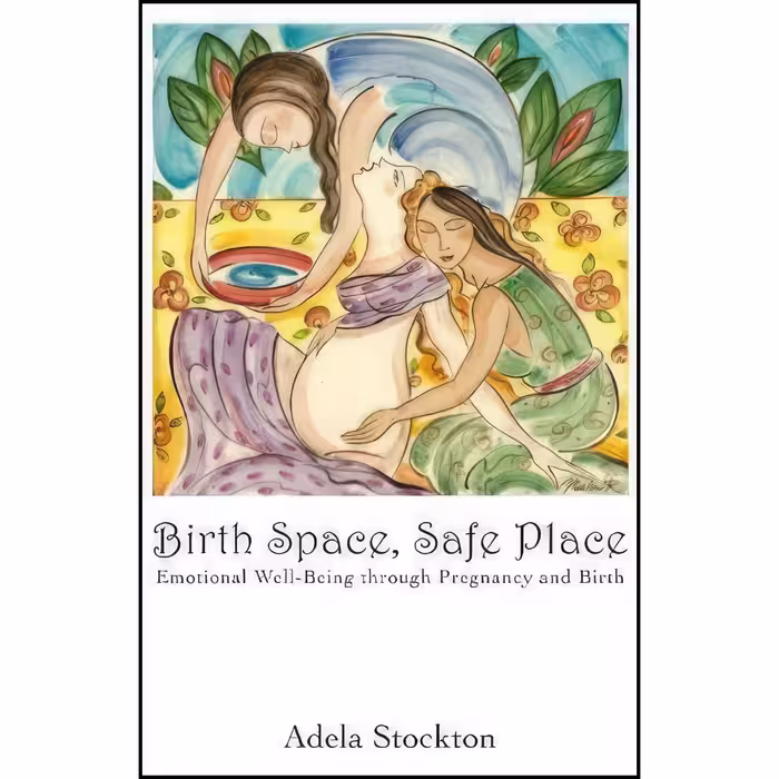 کتاب زبان اصلی Birth Space Safe Place اثر Adela Stockton