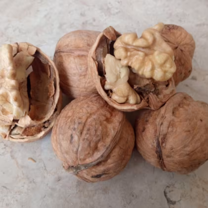 گردو ایرانی پرمغز وروغن10کیلو 