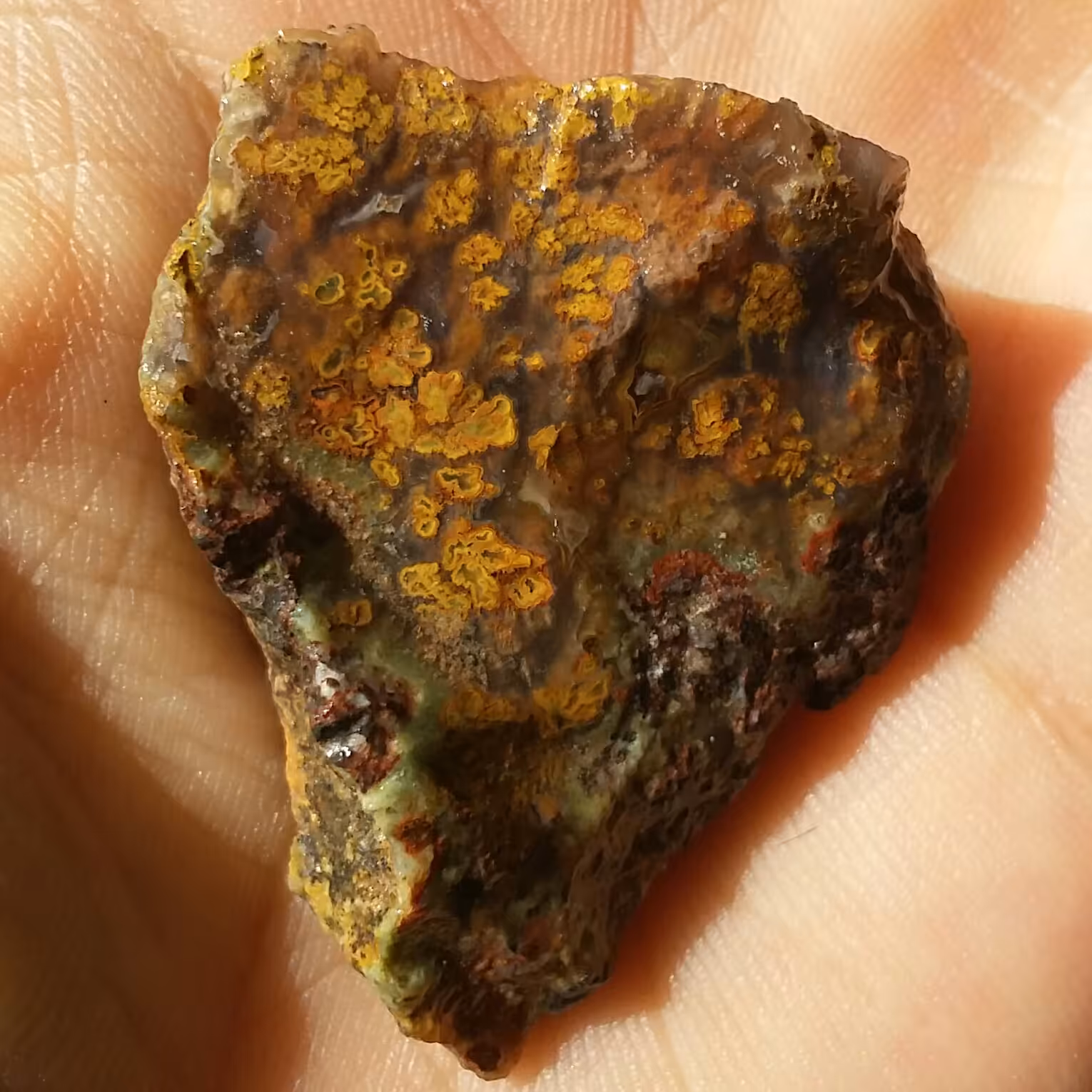 سنگ راف شجر منظره پاییزی محشر 100 در 100 طبیعی شاااهکار خلقت بی نظییییر زیبااااا