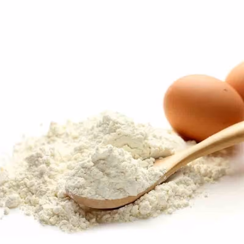 مغز 2222 - حذف شده