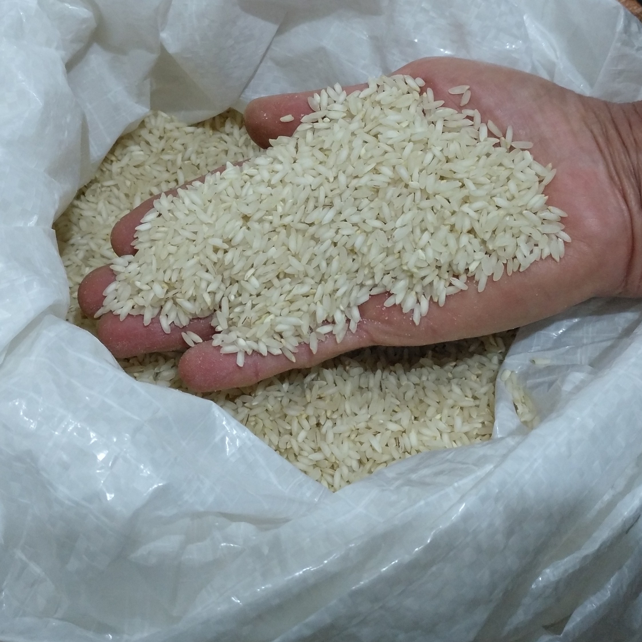برنج عنبر درجه یک (10 کیلویی ) امساله خوش طعم خوش پخت .
