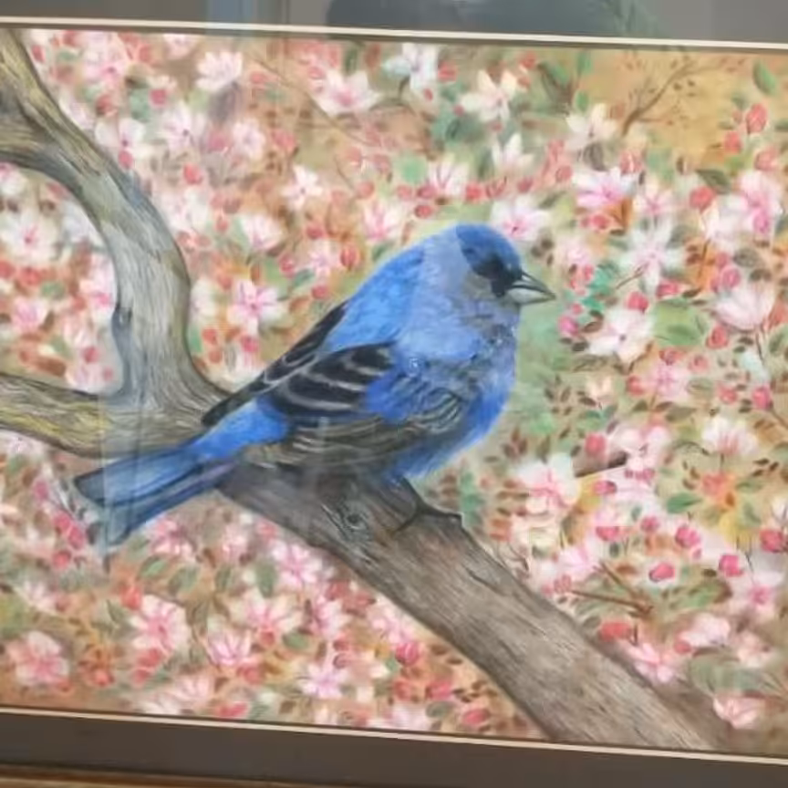 پرنده عاشق . این تابلو با تکنیک پاستل گچی است و بسیار زیبا و دیدنی است و دارای قاب نفیس چوبی می باشد 