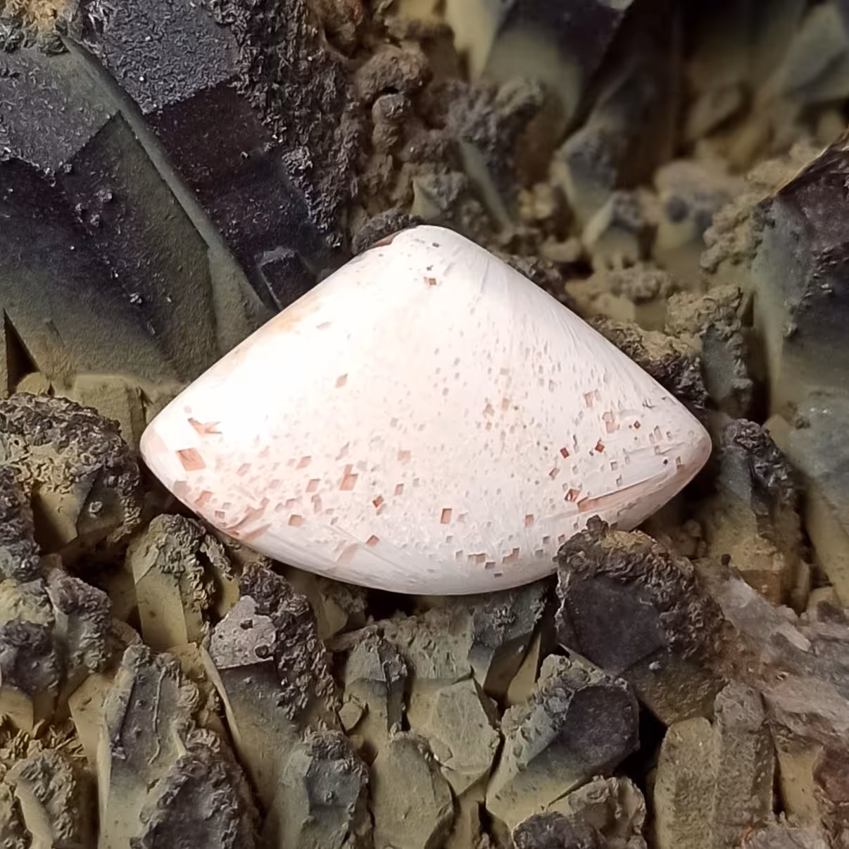 نگین سنگ اسکولسیت کد 267