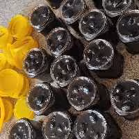 مربای گردو 1000گرمی