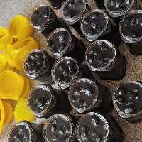 مربای گردو 1000گرمی