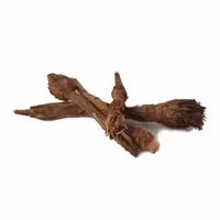 عاقرقرحا یا عاقرقره معالج هزار آلام (50 گرم) آقای عطار