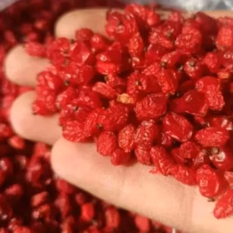 زرشک صادراتی قائنات 