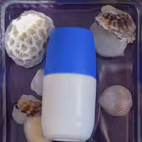 مام رول طبیعی سما 