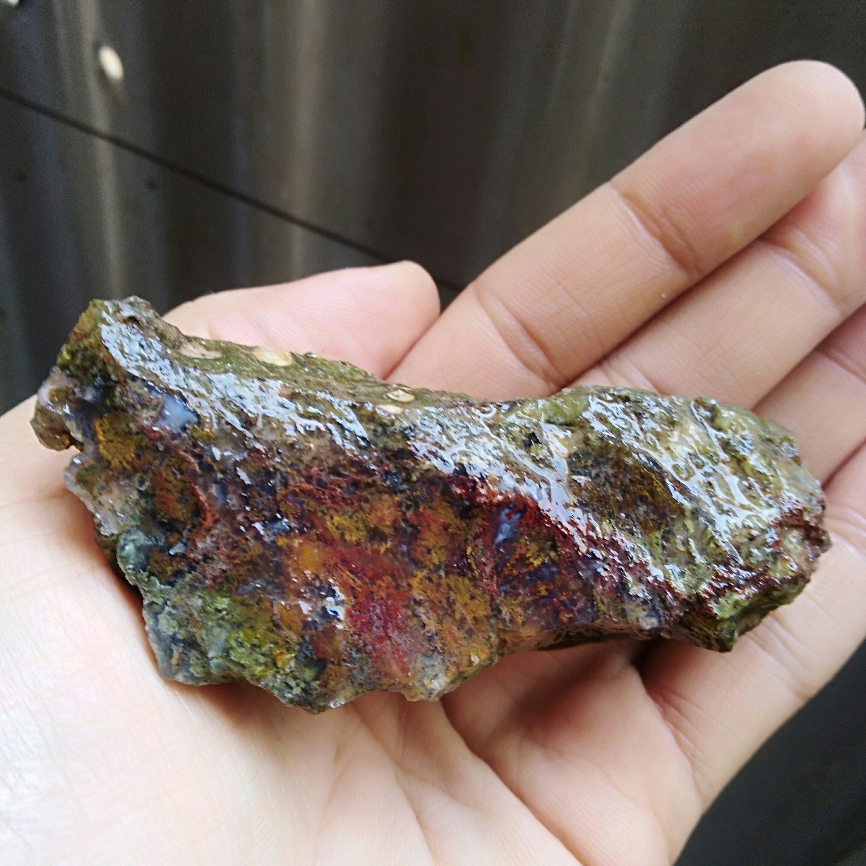 راف شجر منظره 7رنگ محشر کاملا طبیعی