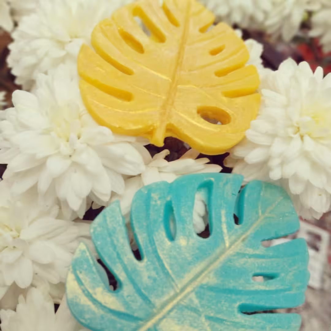 صابون گیاهی  طرح برگ پک ده عددی