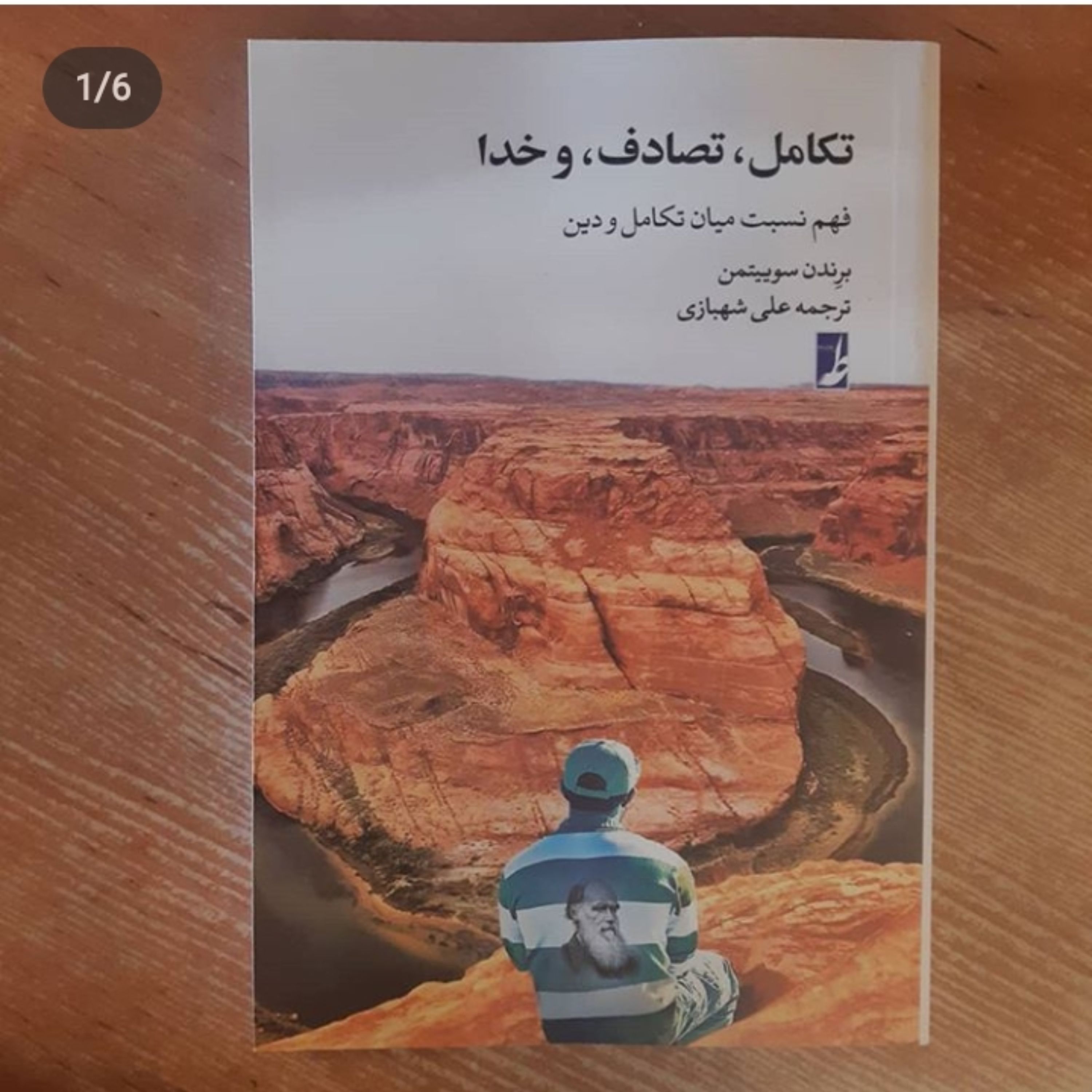 کتاب تکامل تصادف و خدا اثر برندن سوییتمن  نشر کتاب طه چاپ اول