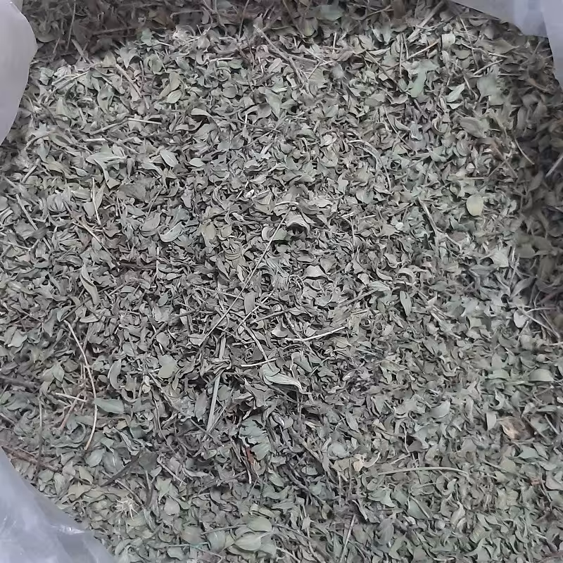 آویشن تبریز