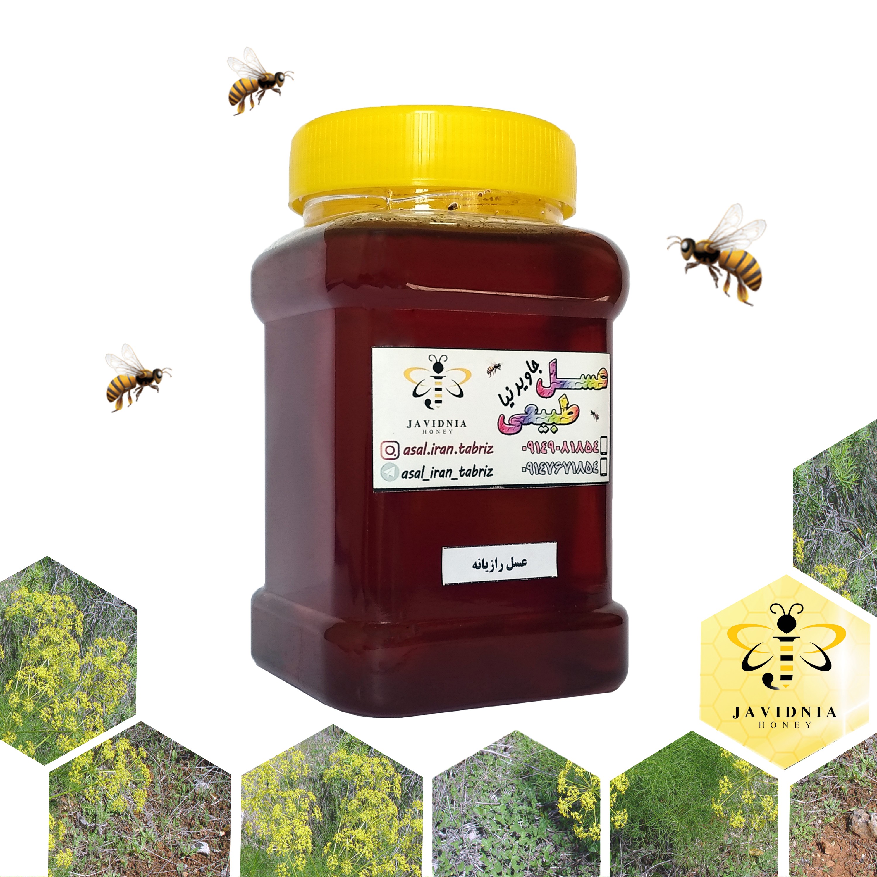 عسل طبیعی رازیانه 900 گرمی