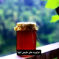 عسل (عسل طبیعی سبلان)( فراورده های طبیعی ایلیا )