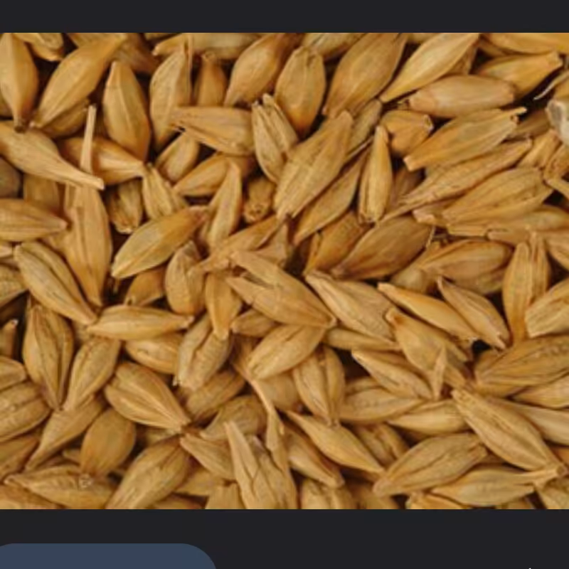 جو دوسر  درشت سبوس دار   یک کیلویی